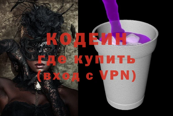 ECSTASY Горняк